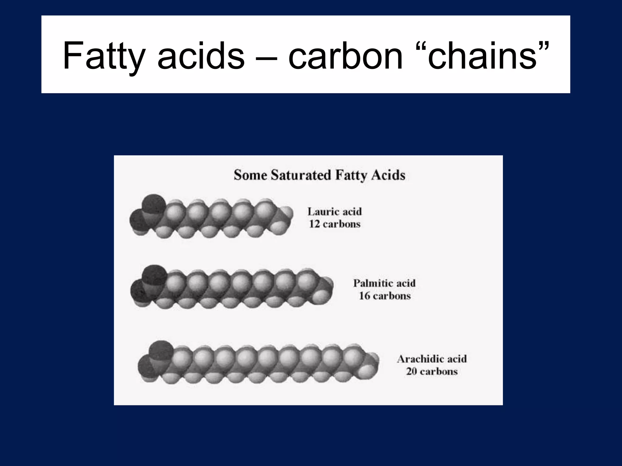 Fatty acids – carbon “chains”