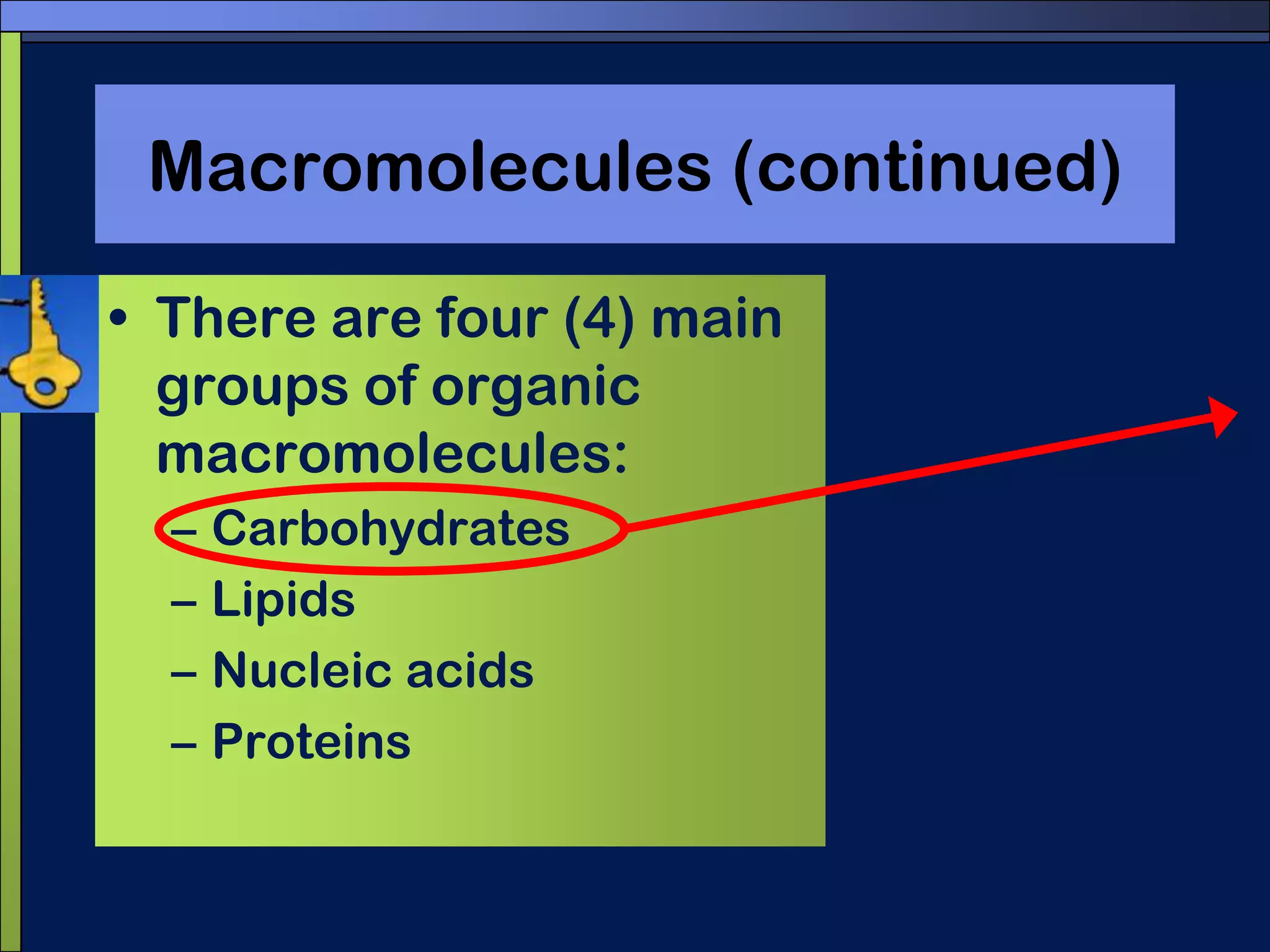 Macromolecules (continued)There are four (4) main groups of organic macromolecules:CarbohydratesLipidsNucleic acidsProteins 
