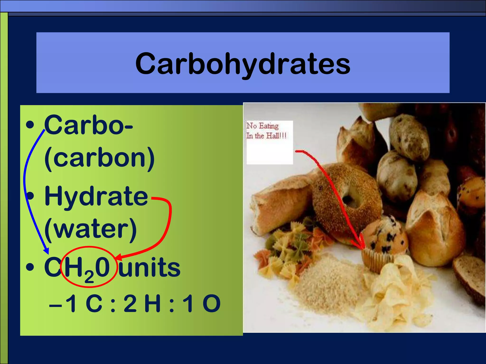CarbohydratesCarbo- (carbon)Hydrate (water)CH20 units1 C : 2 H : 1 O