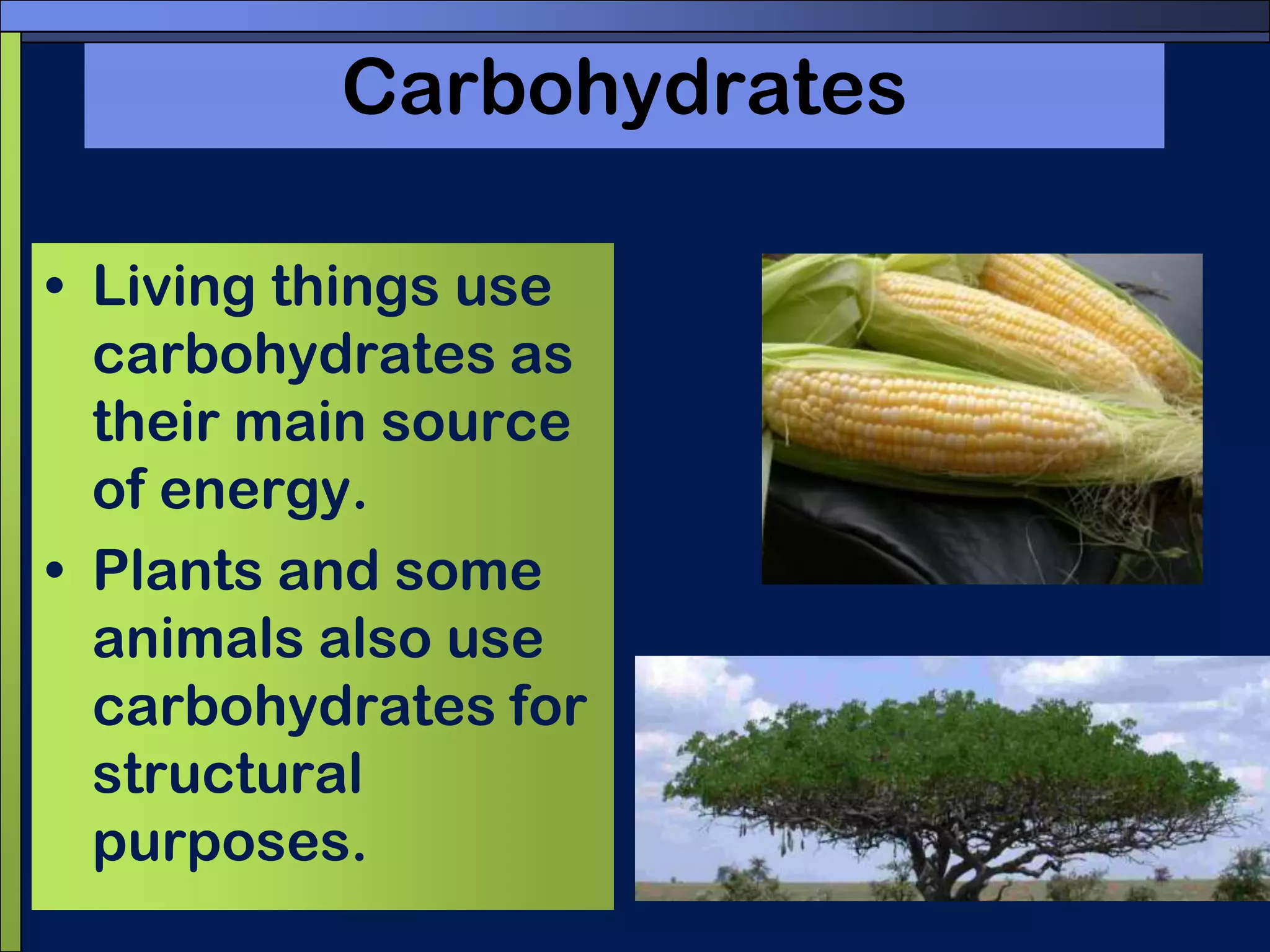 CarbohydratesLiving things use carbohydrates as their main source of energy.Plants and some animals also use carbohydrates for structural purposes.
