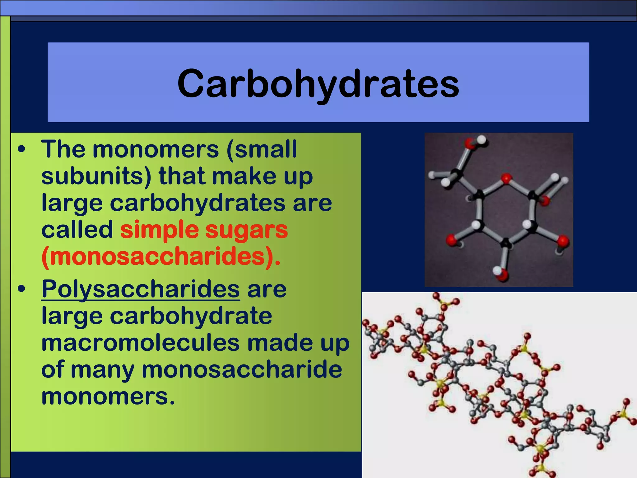 CarbohydratesThe monomers (small subunits) that make up large carbohydrates are called simple sugars (monosaccharides).Polysaccharides are large carbohydrate macromolecules made up of many monosaccharide monomers.