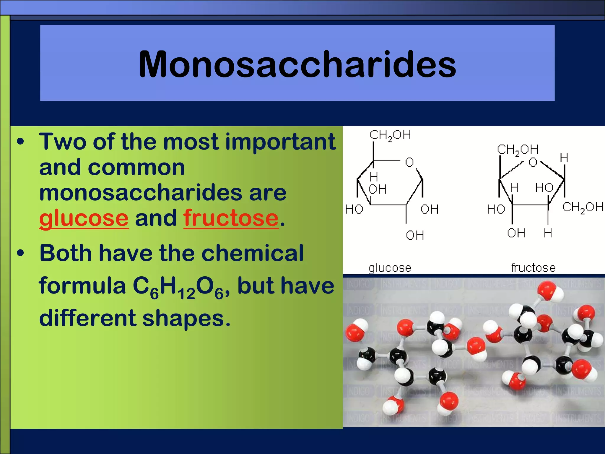 MonosaccharidesTwo of the most important and common monosaccharides are glucose and fructose. Both have the chemical formula C6H12O6, but have different shapes.