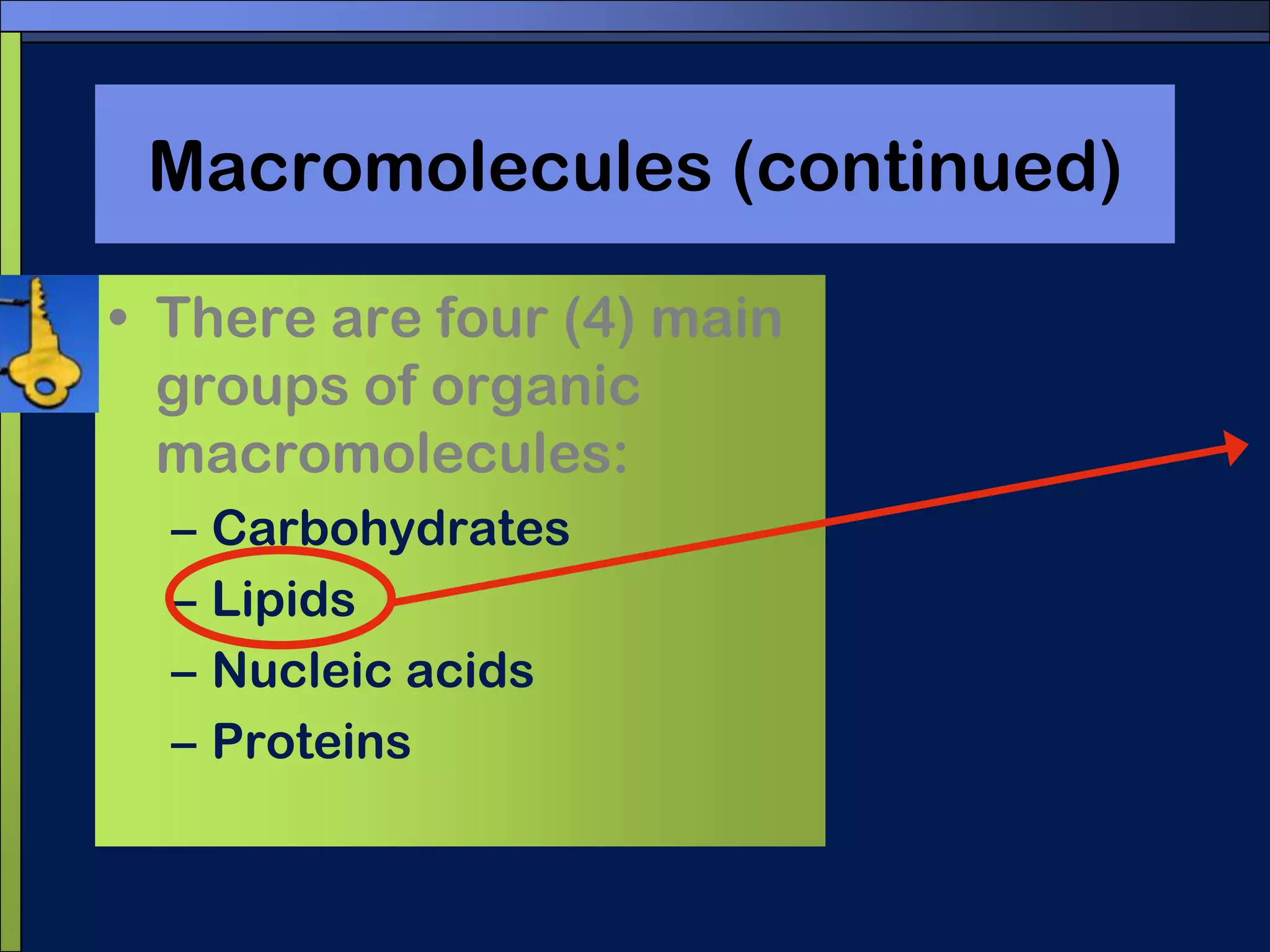 Macromolecules (continued)There are four (4) main groups of organic macromolecules:CarbohydratesLipidsNucleic acidsProteins 