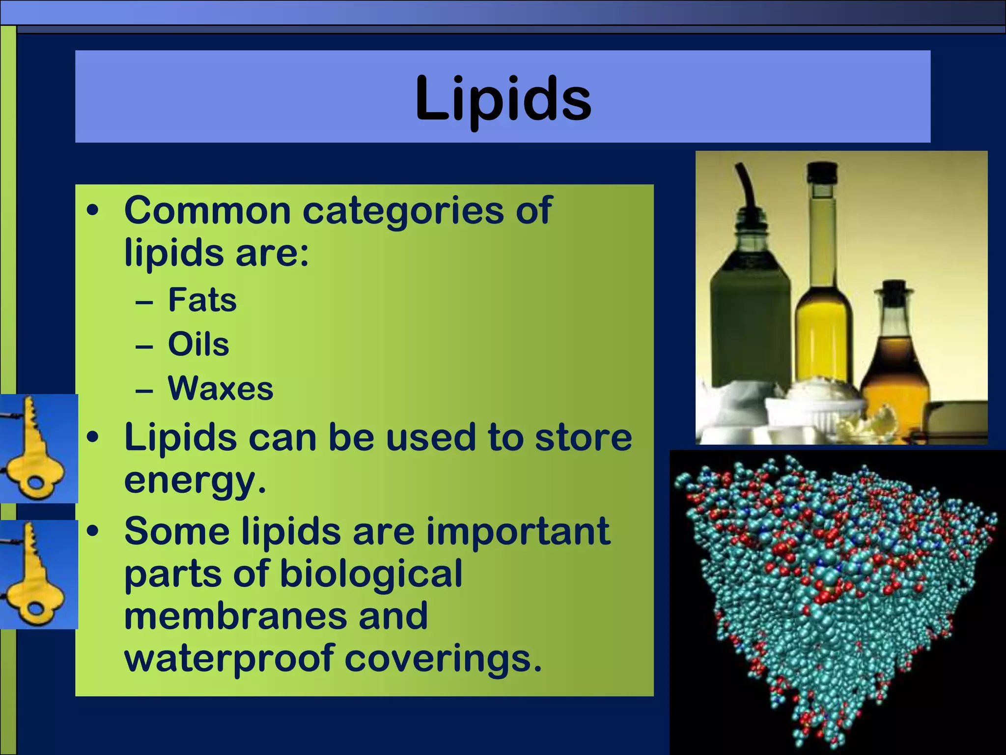 LipidsCommon categories of lipids are:FatsOilsWaxes	 Lipids can be used to store energy.Some lipids are important parts of biological membranes and waterproof coverings.