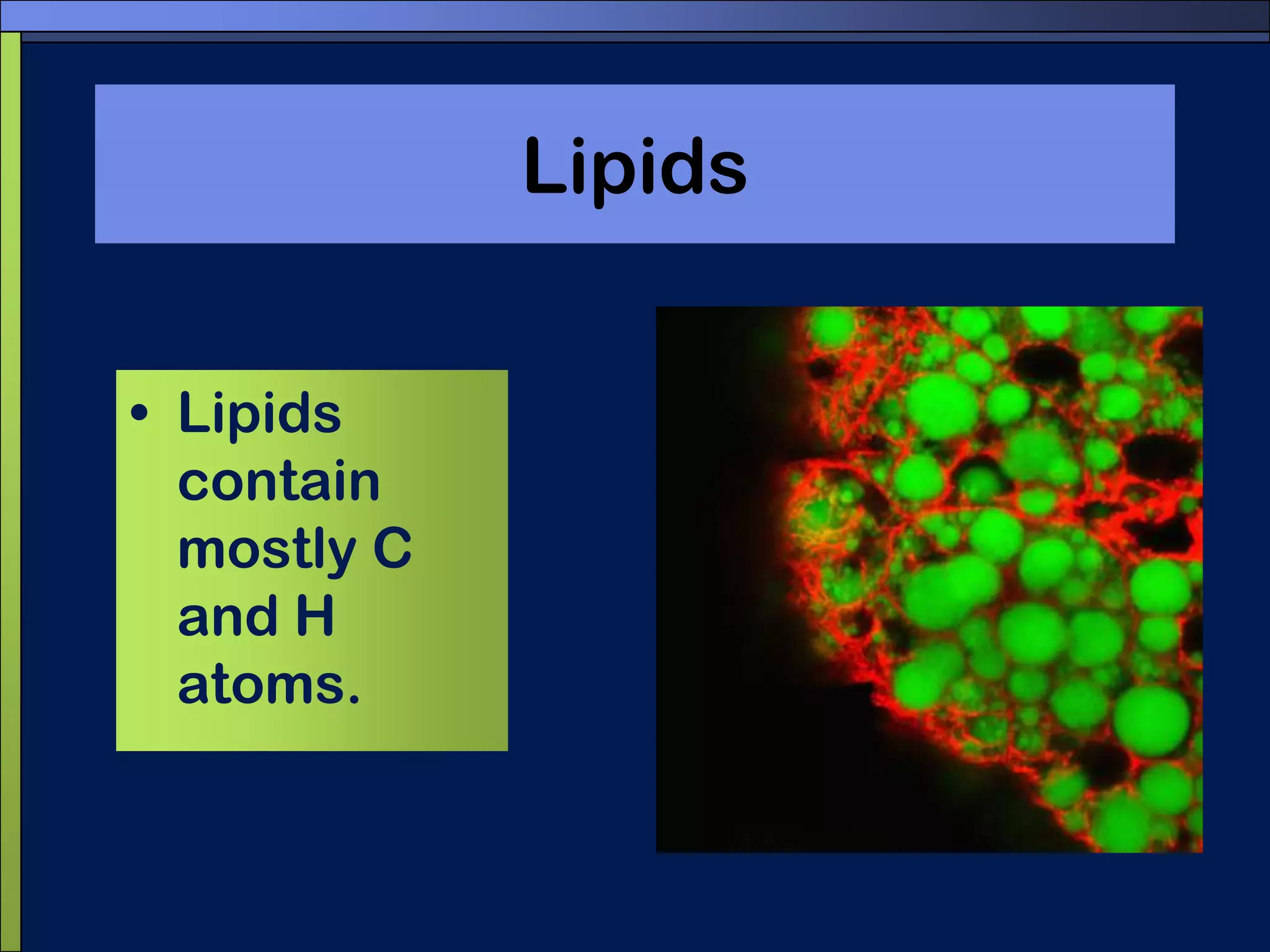 LipidsLipids contain mostly C and H atoms.