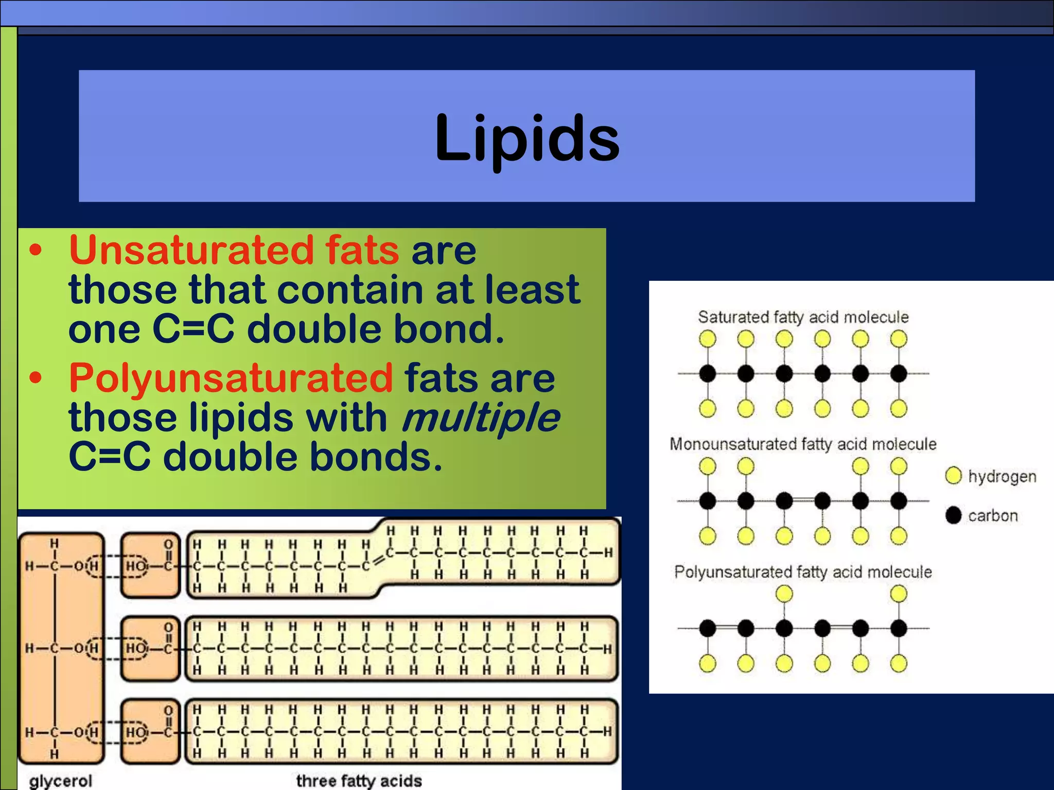 LipidsUnsaturated fats are those that contain at least one C=C double bond.Polyunsaturated fats are those lipids with multiple C=C double bonds.