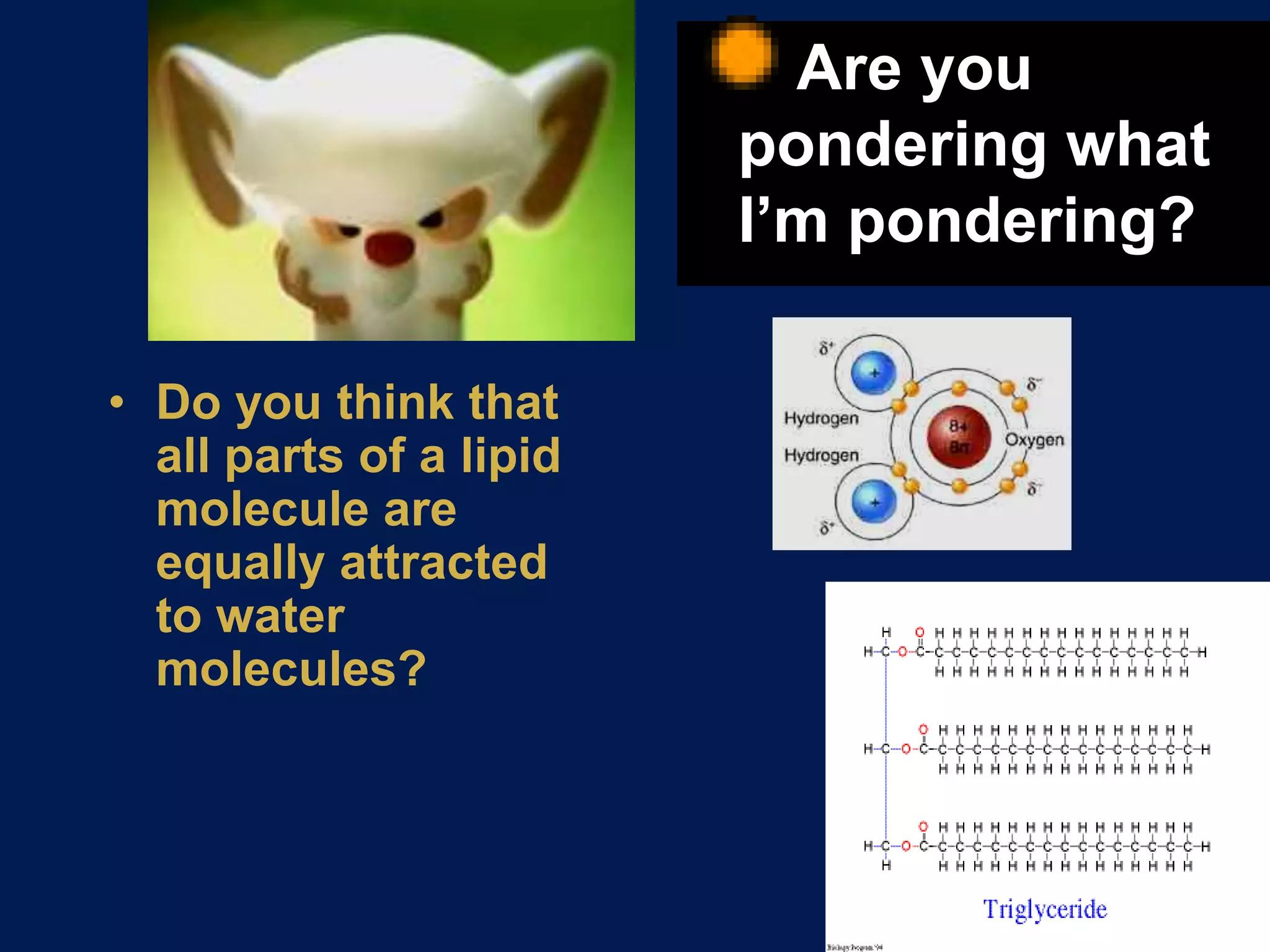 Solid at room temp.OILUnsaturated