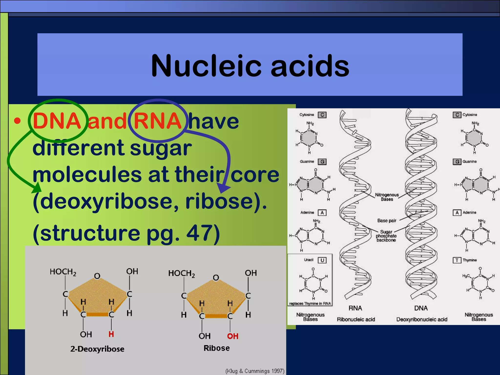 Macromolecules (continued)There are four (4) main groups of organic macromolecules:CarbohydratesLipidsNucleic acidsProteins 