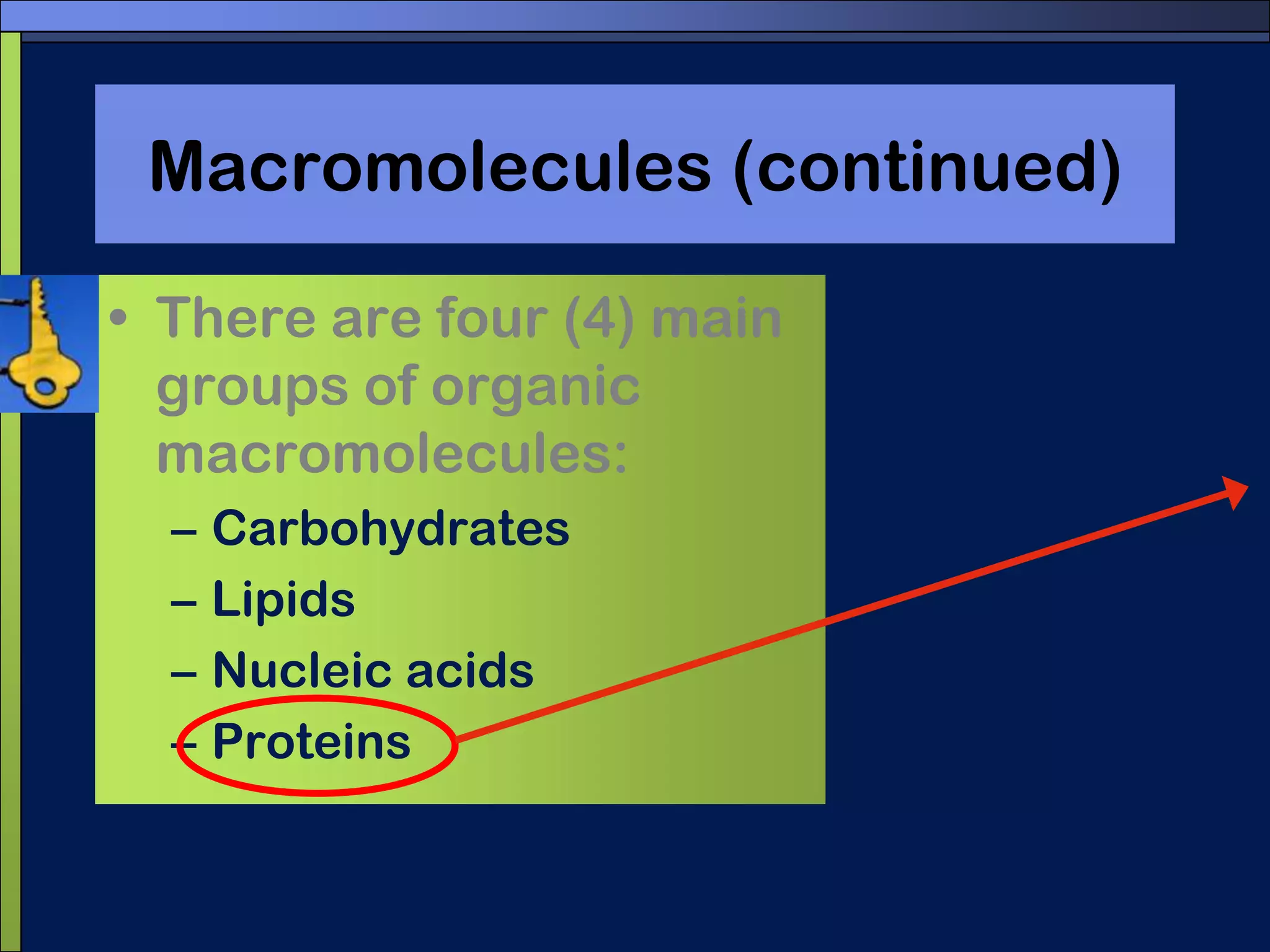 Nucleic acidsNucleic acids contain O, N, C, and P. Nucleic acids are huge polymers assembled from small monomer units called nucleotides.