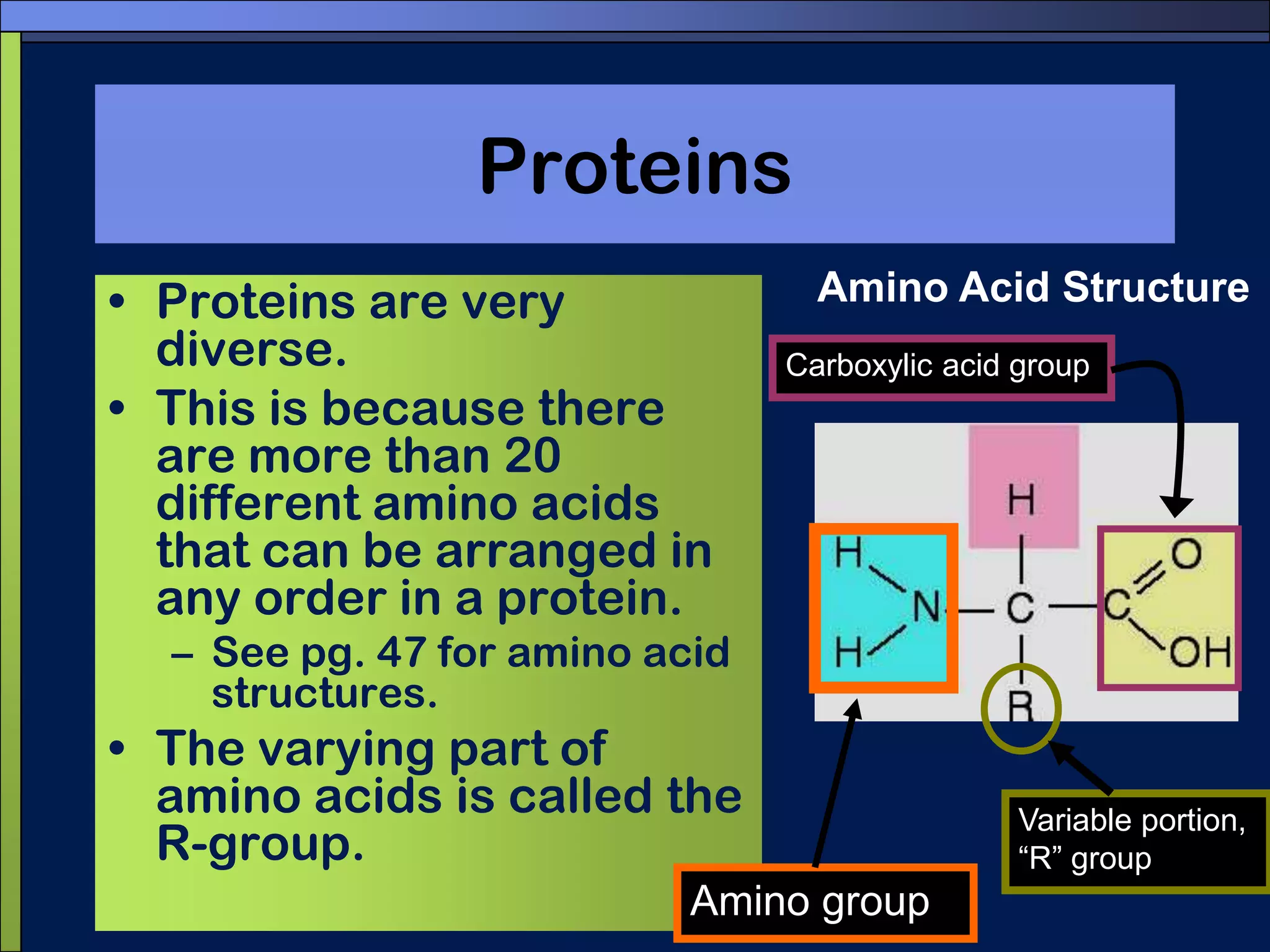 Nucleic acidsDNA and RNA have different sugar molecules at their core (deoxyribose, ribose). 	(structure pg. 47)