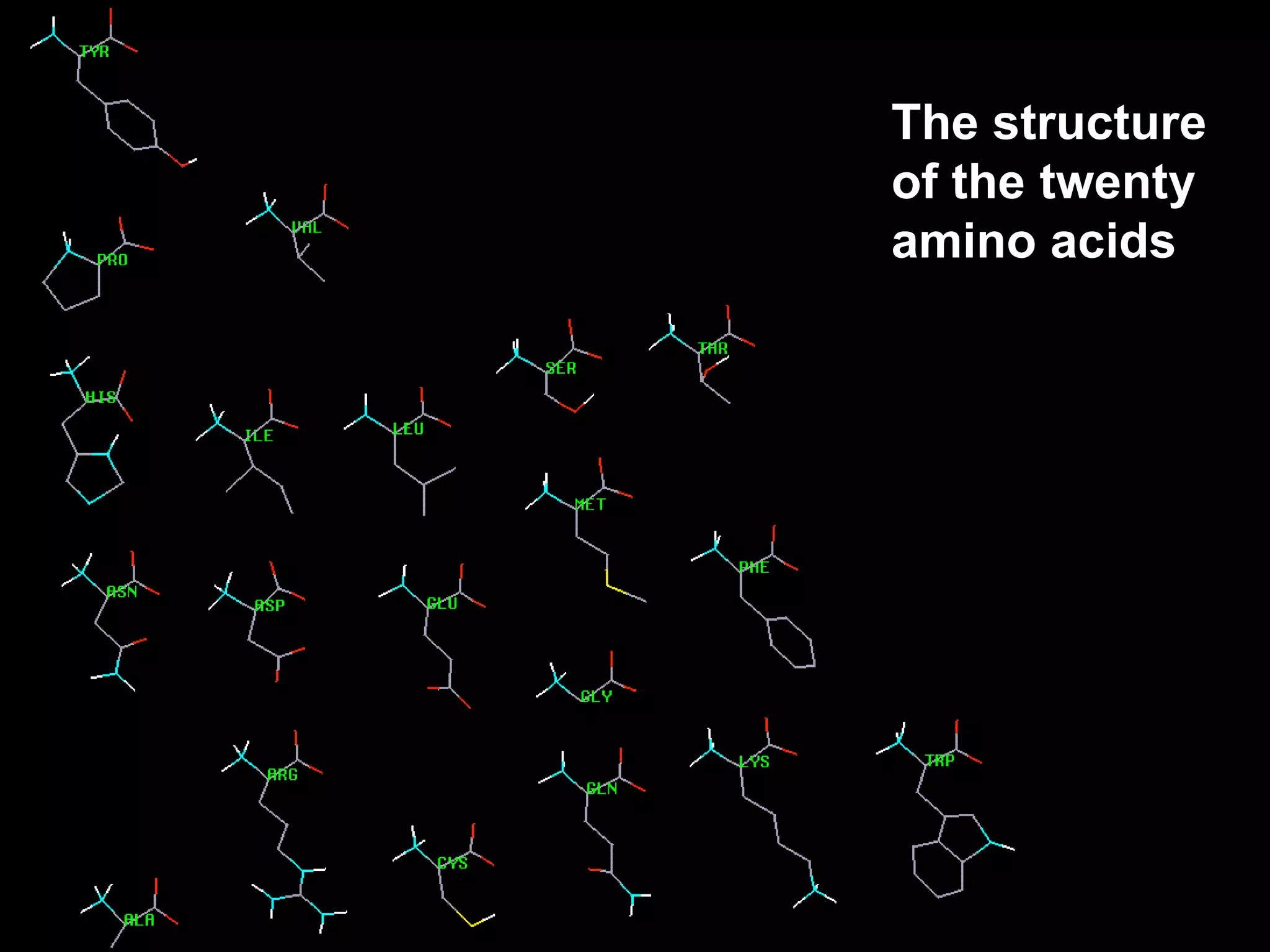 Macromolecules (continued)There are four (4) main groups of organic macromolecules:CarbohydratesLipidsNucleic acidsProteins 