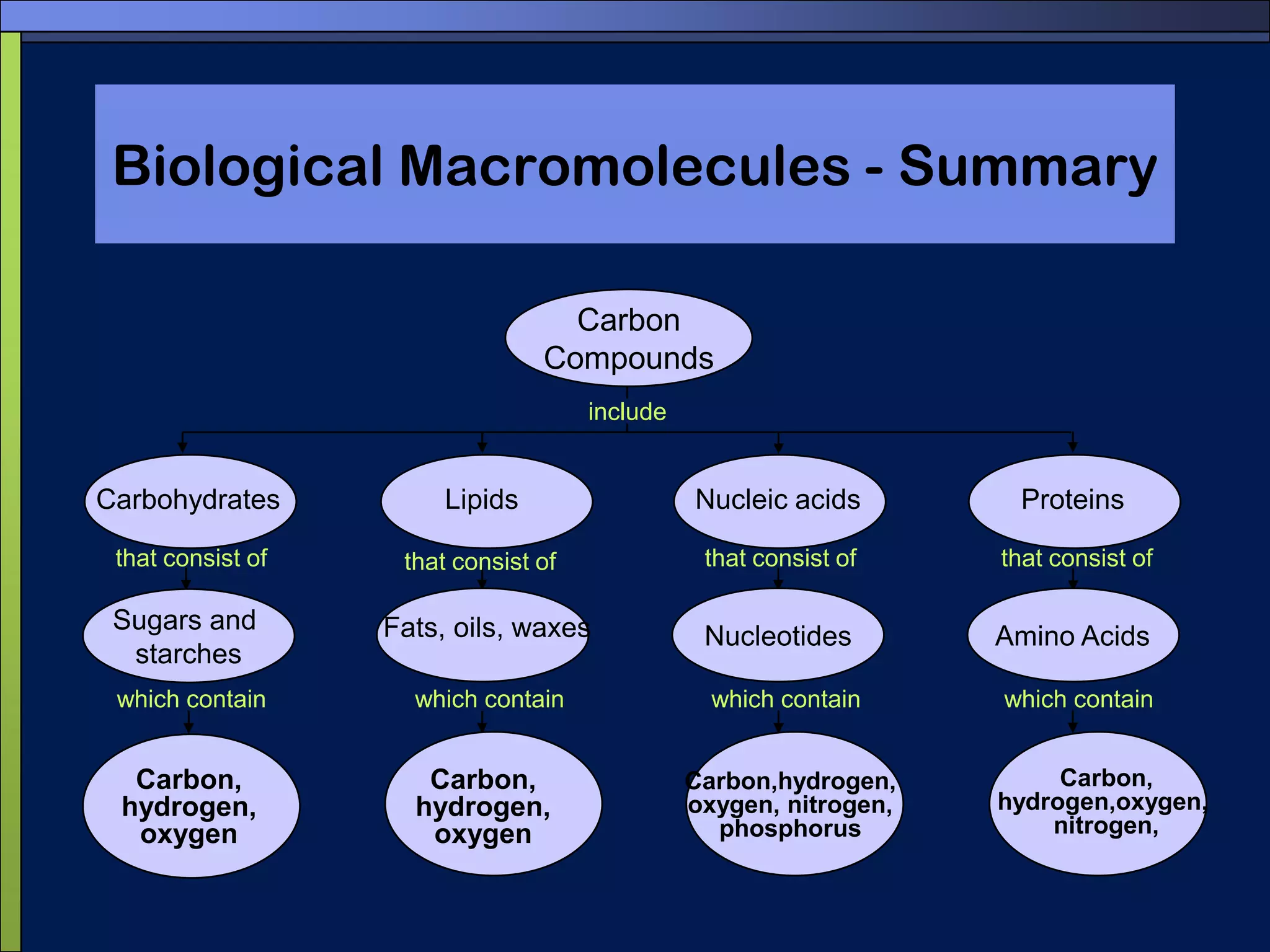 The structure of the twenty amino acids