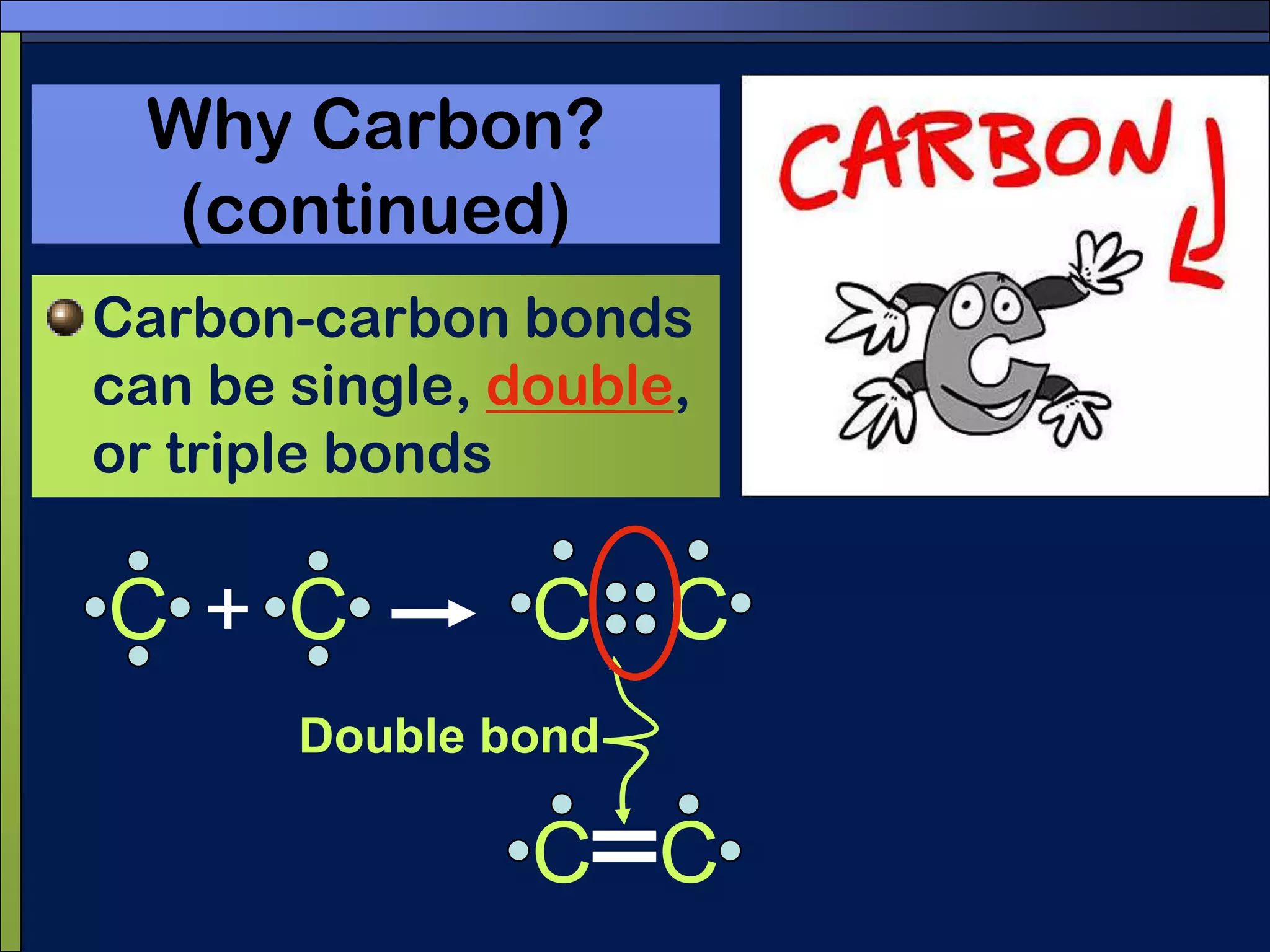 CCWhy Carbon? (continued)Carbon-carbon bonds can be single, double, or triple bonds CC+Double bondCC