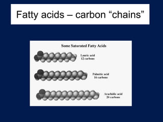 Fatty acids – carbon “chains”