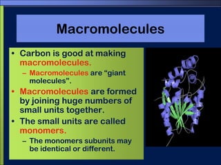 MacromoleculesCarbon is good at making macromolecules.Macromolecules are “giant molecules”. Macromolecules are formed by joining huge numbers of small units together.The small units are called monomers.The monomers subunits may be identical or different.