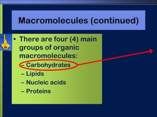 Macromolecules (continued)There are four (4) main groups of organic macromolecules:CarbohydratesLipidsNucleic acidsProteins 