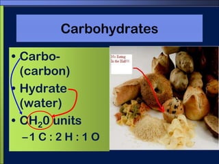 CarbohydratesCarbo- (carbon)Hydrate (water)CH20 units1 C : 2 H : 1 O