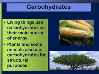 CarbohydratesLiving things use carbohydrates as their main source of energy.Plants and some animals also use carbohydrates for structural purposes.