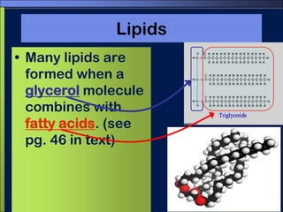 LipidsMany lipids are formed when a glycerol molecule combines with fatty acids. (see pg. 46 in text)