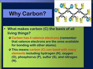 Why Carbon?What makes carbon (C) the basis of all living things?Carbon has 4 valence electrons (remember that valence electrons are the ones available for bonding with other atoms).This means carbon (C) can bond with many elements including hydrogen (H), oxygen (O), phosphorus (P), sulfur (S), and nitrogen (N).