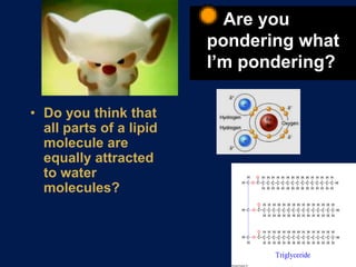 Solid at room temp.OILUnsaturated