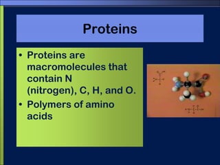 Nucleic acidsNucleic acids store and transmit hereditary, or genetic, information.There are two kinds of nucleic acids:Ribonucleic acid (RNA)Deoxyribonucleic acid (DNA)