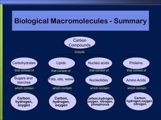 The structure of the twenty amino acids
