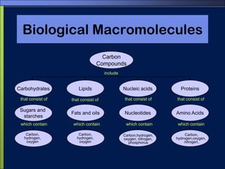 Why Carbon? (continued)CCCarbon-carbon bonds can be single, double, or triple bonds CC+Triple bondCC