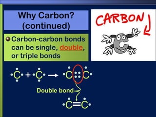 CCWhy Carbon? (continued)Carbon-carbon bonds can be single, double, or triple bonds CC+Double bondCC