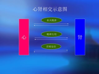 心肾相交示意图 心 肾 水火既济 精神互用 君相安位 