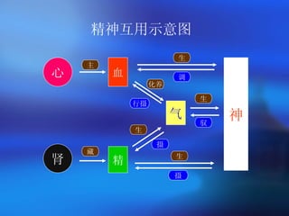 精神互用示意图 心 肾 血 气 精 神 生 生 摄 驭 化养 行摄 主 藏 生 摄 生 调 