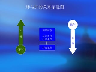 肺与肝的关系示意图   肝气 肺气 左 升 右 降 病理状态 左升太过 右降不及 肝火犯肺 