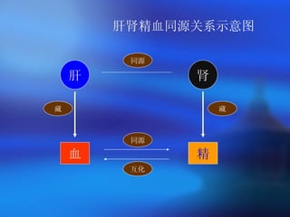 肝肾精血同源关系示意图 肝 血 精 肾 同源 互化 藏 藏 同源 