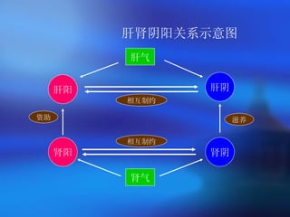 肝肾阴阳关系示意图 肝阳 肝阴 肾阳 肾阴 肾气 肝气 滋养 资助 相互制约 相互制约 