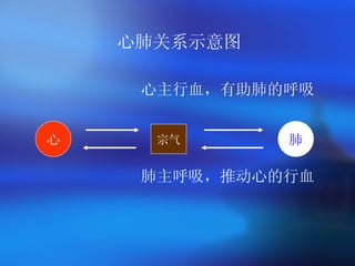 心肺关系示意图 心主行血，有助肺的呼吸 肺主呼吸，推动心的行血 心 肺 宗气 