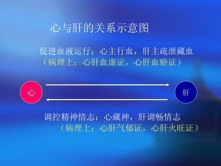 心与肝的关系示意图 促进血液运行：心主行血，肝主疏泄藏血 （病理上：心肝血虚证，心肝血瘀证） 调控精神情志：心藏神，肝调畅情志   （病理上： 心肝气郁证，心肝火旺证 ） 心 肝 