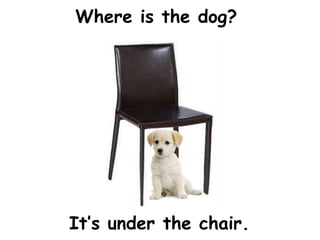 Where is the dog?




It’s under the chair.
 