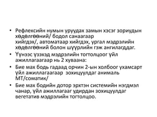 мэдрэлийн тогтолцоо 2 4 | PPT