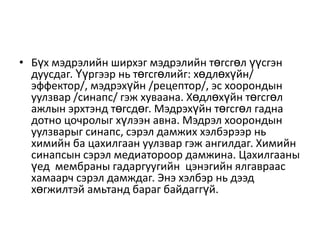 мэдрэлийн тогтолцоо 2 4 | PPT
