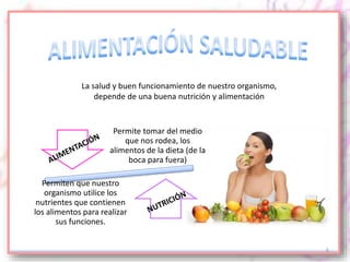 6
Permite tomar del medio
que nos rodea, los
alimentos de la dieta (de la
boca para fuera)
Permiten que nuestro
organismo utilice los
nutrientes que contienen
los alimentos para realizar
sus funciones.
La salud y buen funcionamiento de nuestro organismo,
depende de una buena nutrición y alimentación
 