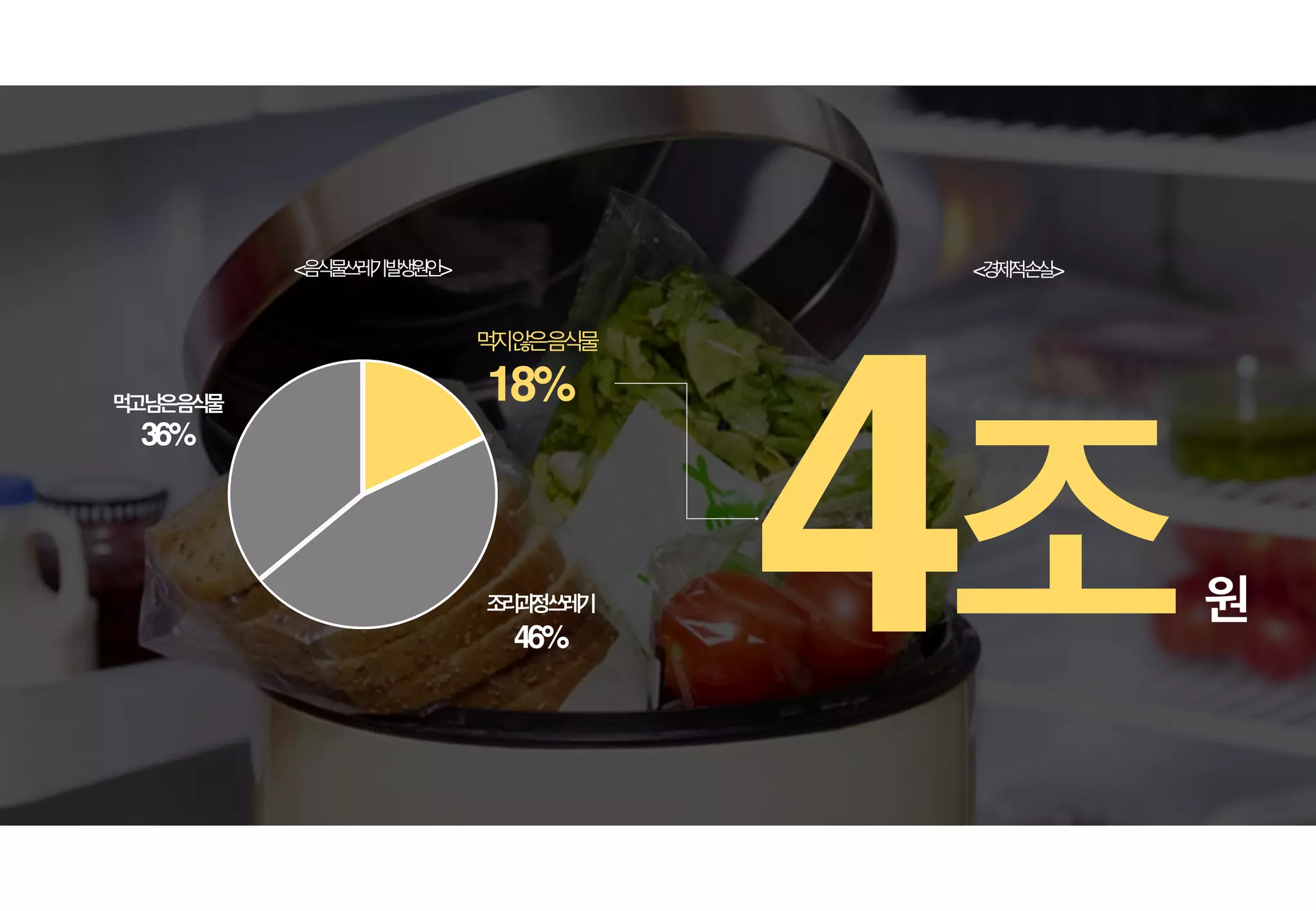 18%
조리과정쓰레기
46%
먹고남은음식물
36%
먹지않은음식물
<음식물쓰레기발생원인>
4조원
<경제적손실>
 