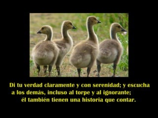 Di tu verdad claramente y con serenidad; y escucha
a los demás, incluso al torpe y al ignorante;
él también tienen una historia que contar.
 
