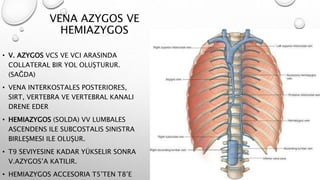 VENA AZYGOS VE
HEMIAZYGOS
• V. AZYGOS VCS VE VCI ARASINDA
COLLATERAL BIR YOL OLUŞTURUR.
(SAĞDA)
• VENA INTERKOSTALES POSTERIORES,
SIRT, VERTEBRA VE VERTEBRAL KANALI
DRENE EDER
• HEMIAZYGOS (SOLDA) VV LUMBALES
ASCENDENS ILE SUBCOSTALIS SINISTRA
BIRLEŞMESI ILE OLUŞUR.
• T9 SEVIYESINE KADAR YÜKSELIR SONRA
V.AZYGOS’A KATILIR.
• HEMIAZYGOS ACCESORIA T5’TEN T8’E
 