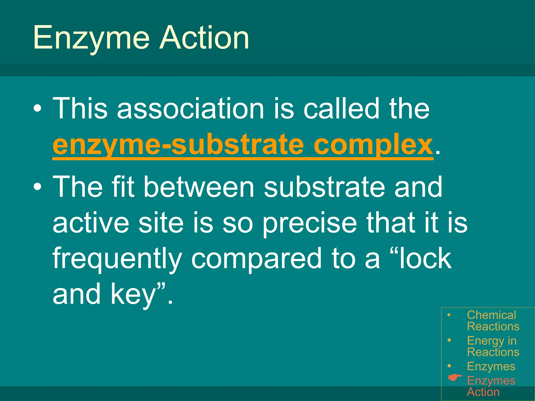 Enzyme ActionEnergy in ReactionsIf the reactants (the starting conditions) have less energy than the products (the ending conditions), then energy is absorbed(also known as an endothermic reaction).Chemical Reactions