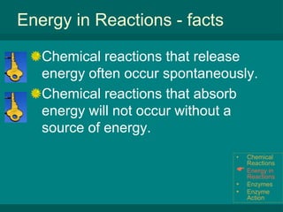 Enzyme ActionEnergy in ReactionsDepending on the number and types of chemical bonds broken and formed, energy may be either releasedorabsorbed by chemical reactions.Chemical Reactions