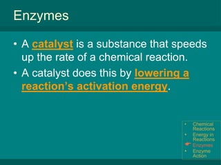 Enzyme ActionEnergy in ReactionsRecall (from 2 minutes ago) thatReactants are the elements or compounds that enter into (begin) a chemical reaction.Products are the elements or compounds that are produced by (result from) a chemical reaction.Chemical Reactions