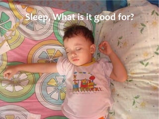 Sleep, What is it good for?
 