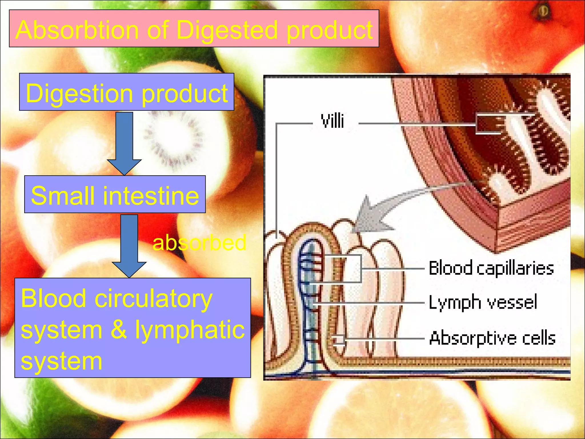 Absorbtion of Digested product

Digestion product


 Small intestine
           absorbed

Blood circulatory
system & lymphatic
system
 