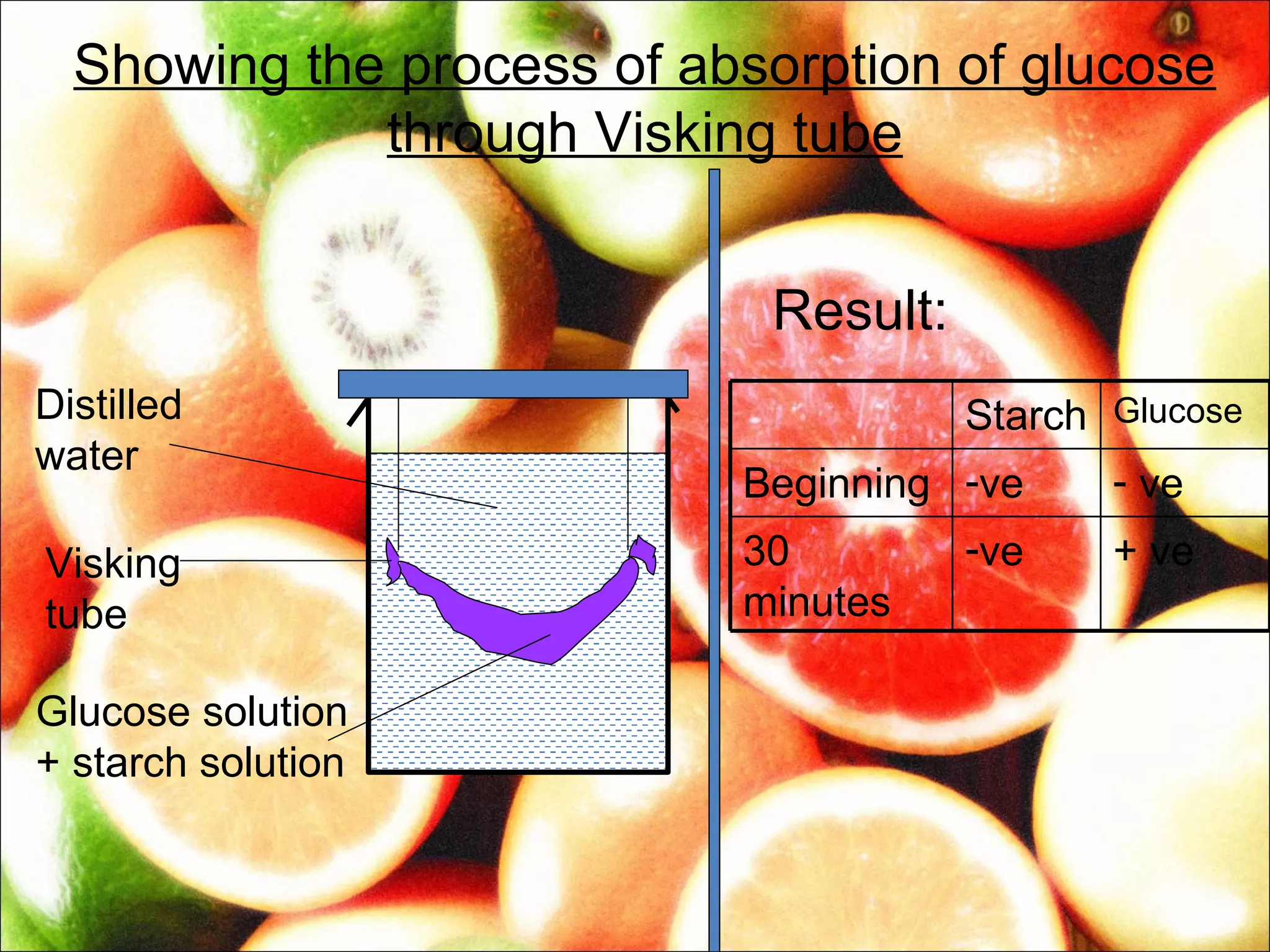 Showing the process of absorption of glucose
             through Visking tube


                            Result:
Distilled                             Starch Glucose
water
                           Beginning -ve     - ve
Visking                    30         -ve    + ve
tube                       minutes

Glucose solution
+ starch solution
 