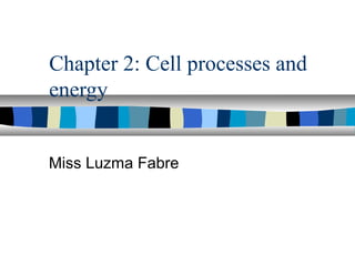 Chapter 2: Cell processes and
energy


Miss Luzma Fabre
 
